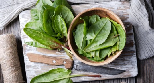 Как сохранить летний вкус щавеля на зимний сезон: простые рецепты