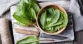 Как сохранить летний вкус щавеля на зимний сезон: простые рецепты