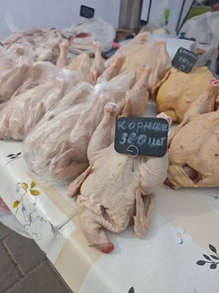 В Тамбове проходит Большая весенняя ярмарка (0+) В Тамбове проходит Большая весенняя ярмарка (0+)