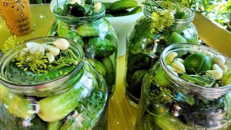 Идеальные соленые огурцы на зиму: секреты успешной заготовки