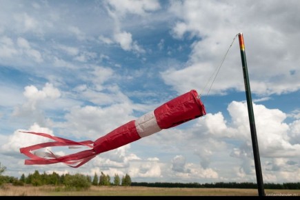 МЧС предупреждает: Усиление ветра в Тамбовской области