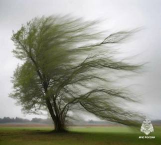 � ���������� ������� � ��������� 1-3 ���� � ����������� ����� 7 ������ ��������� �������� ���-��������� ����� �������� 15-20 �/�