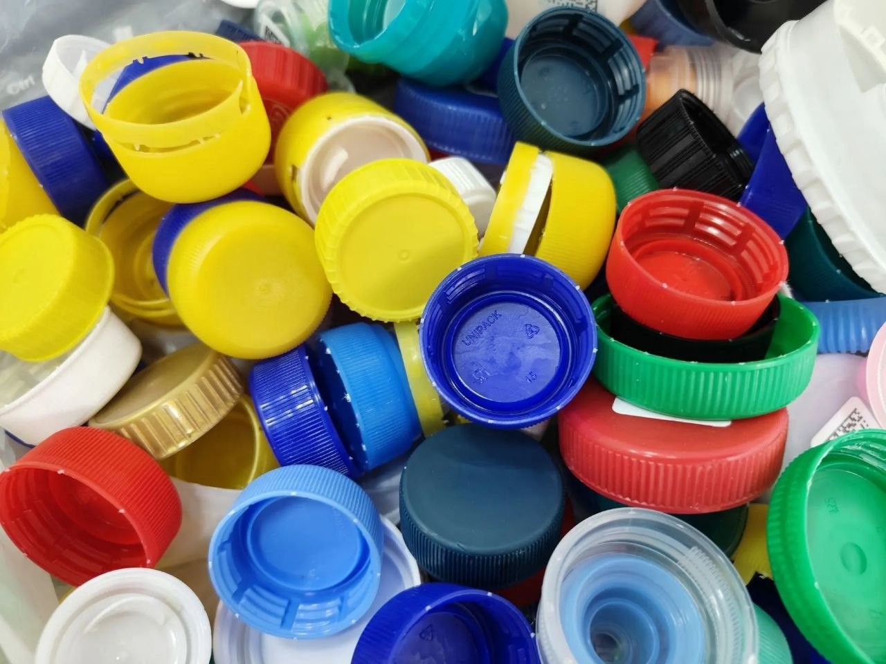 Мусор — в дело: как школьники Тамбова помогают экологии и людям Мусор — в дело: как школьники Тамбова помогают экологии и людям