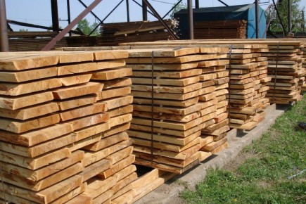 Моршанские лесоводы создают первую в регионе сушилку древесины