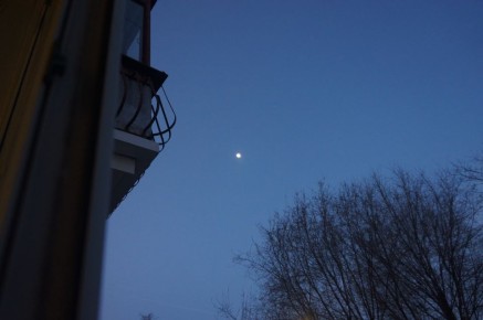 ������� � ���� �� 6 ������: