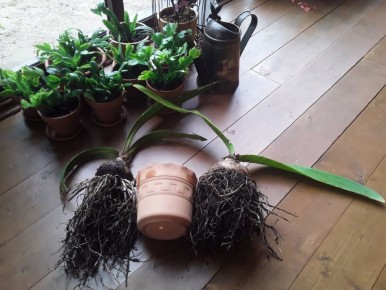 ��� ������������ ������ ���������: ��������� �� ����