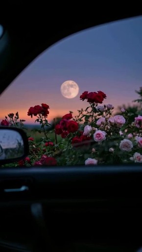 ������ �������� ���������