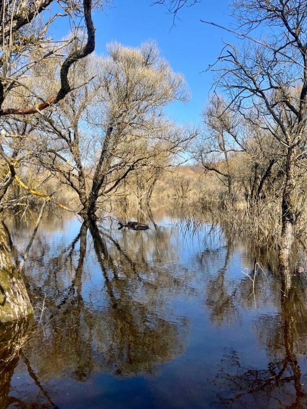 � ����������� ����������� ��������� ����: ���������� �������� �������� �����