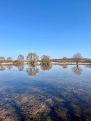 � ����������� ����������� ��������� ����: ���������� �������� �������� �����