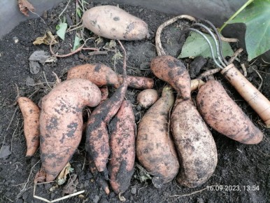 ����� � ������ ������: ��� ��������� ��������� ����������� ������������