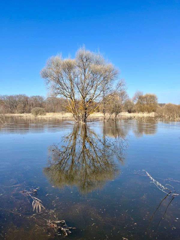 � ����������� ����������� ��������� ����: ���������� �������� �������� �����