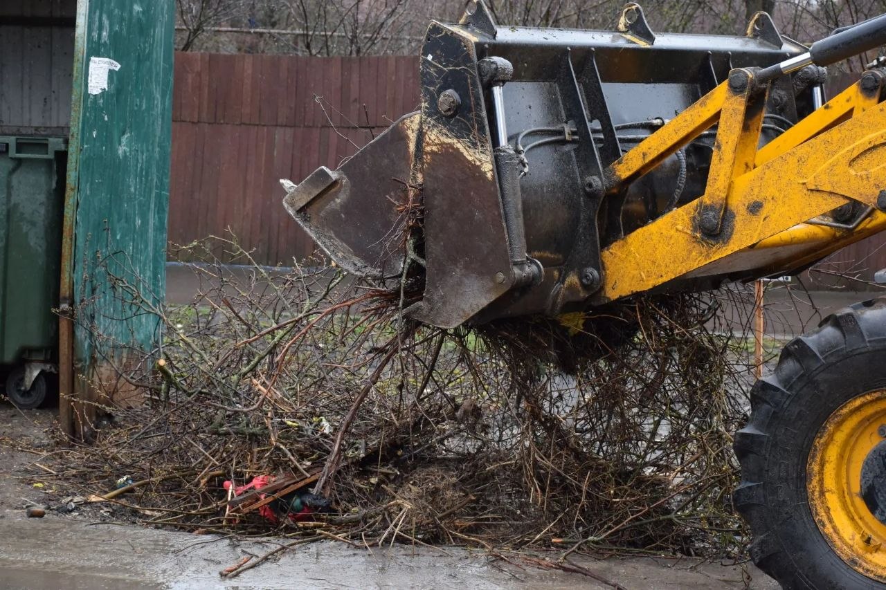 В Тамбове стартовал вывоз древесно-растительных отходов В Тамбове стартовал вывоз древесно-растительных отходов