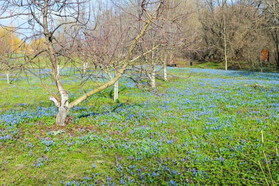 ������� ���� �����: ������ �������� ����� ����������� ��������