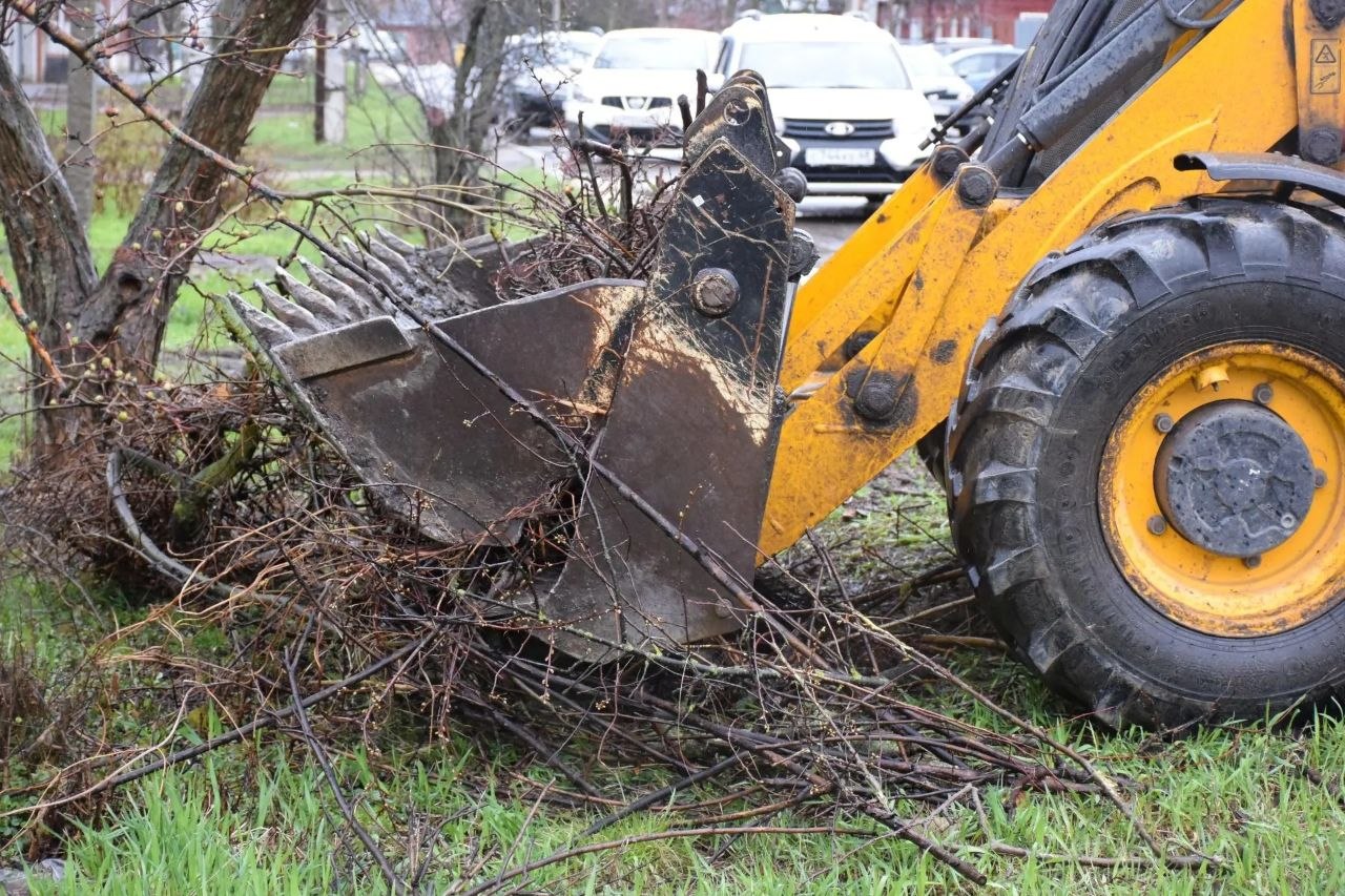 В Тамбове стартовал вывоз древесно-растительных отходов В Тамбове стартовал вывоз древесно-растительных отходов
