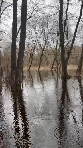 Дождь на затопленных лугах Воронинского заповедника