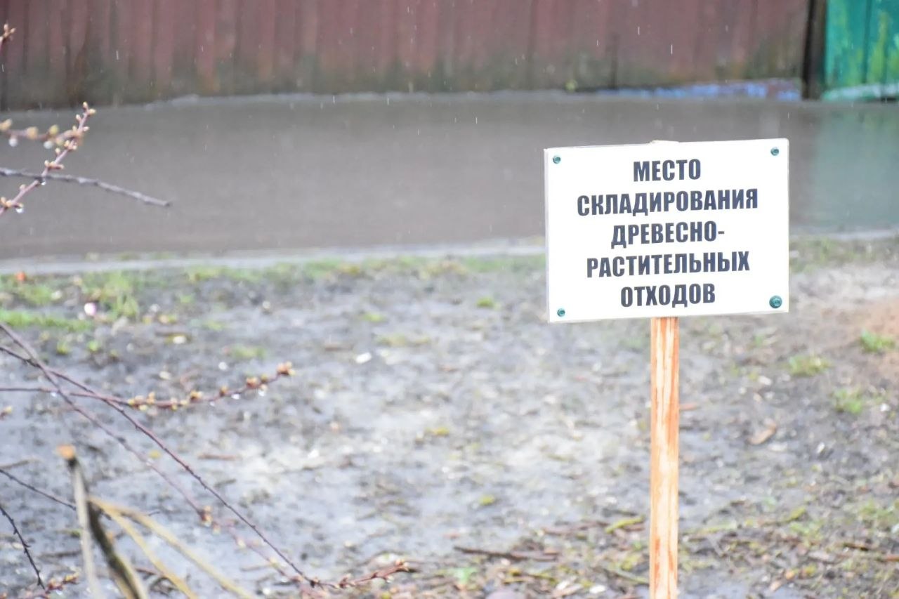 В Тамбове стартовал вывоз древесно-растительных отходов В Тамбове стартовал вывоз древесно-растительных отходов