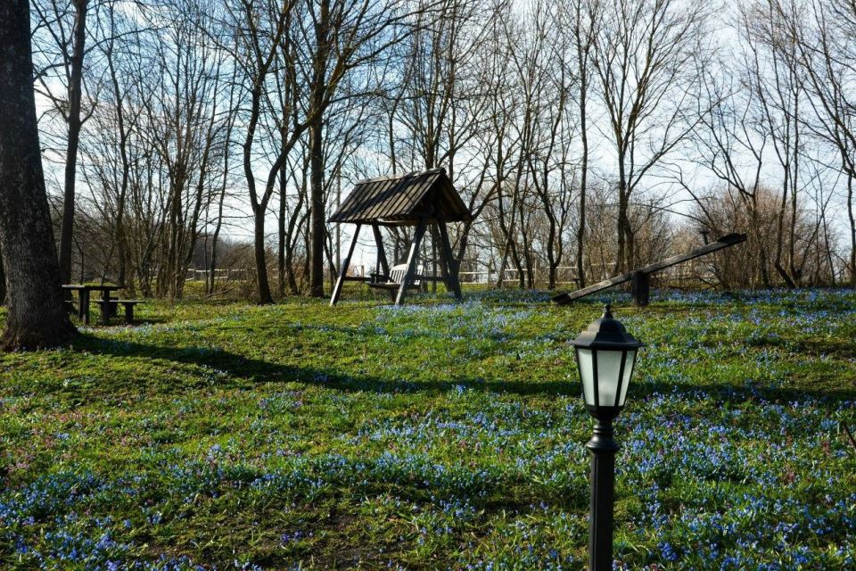 ������� ���� �����: ������ �������� ����� ����������� ��������