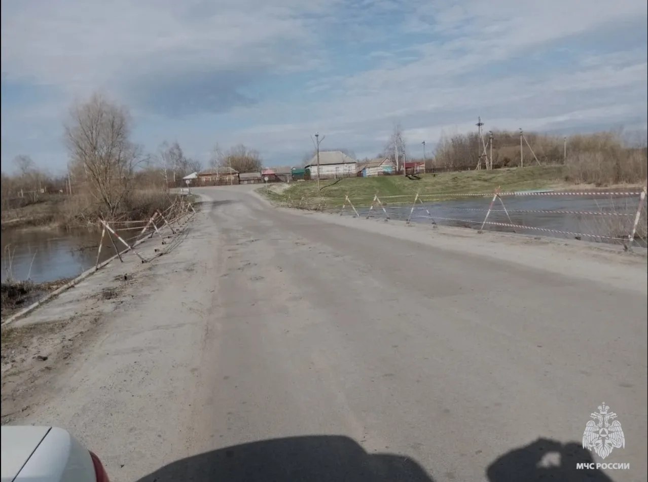 Из-за подъёма воды в реке Ворона прогнозируется затопление моста в ржаксинском селе Перевоз Из-за подъёма воды в реке Ворона прогнозируется затопление моста в ржаксинском селе Перевоз