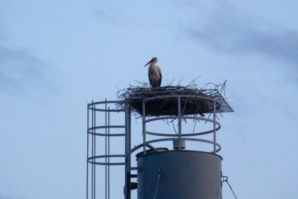 � ���������� ������ �� ������������ ����� ������ ����� ������ �������������� �����