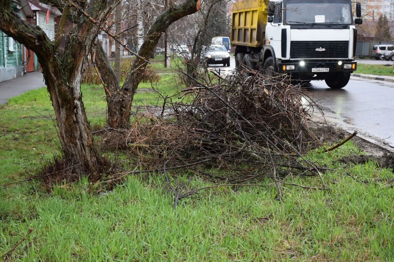 В Тамбове стартовал вывоз древесно-растительных отходов В Тамбове стартовал вывоз древесно-растительных отходов
