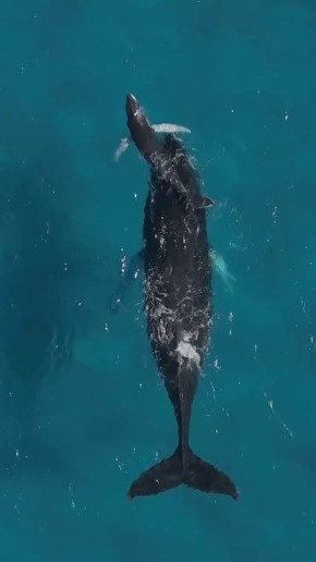 Вместо вечерней медитации