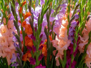 �� ����� ����������� � ��������� ��������� �����: ������ �� ��������