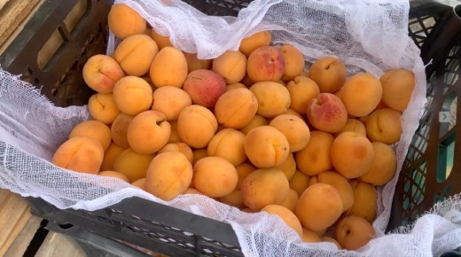 ��� �������� ����������� �������: �������� ������ � ��������