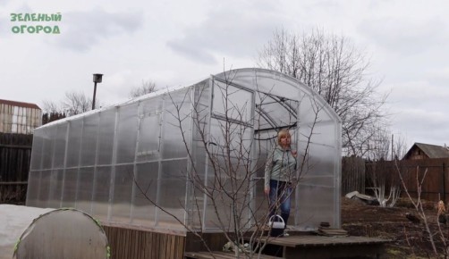 Как подготовить теплицу к новому сезону: советы опытных садоводов