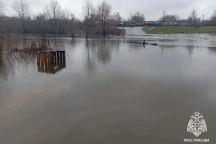 Из-за обильных осадков затопило мост в ржаксинском селе Перевоз