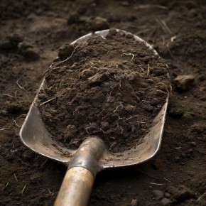 ��� �������� ���������������� ������ ��� ������� ������������� �����