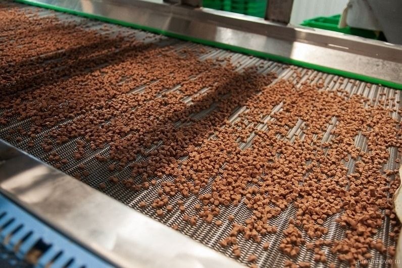 Тамбовское производство кормов для животных планирует построить общежитие для своих сотрудников Тамбовское производство кормов для животных планирует построить общежитие для своих сотрудников