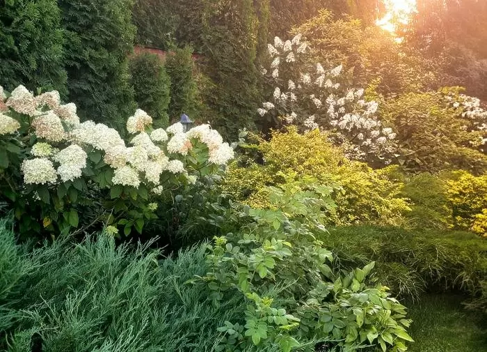 Современные методы защиты растений от вредителей: забытые уловки и инновации