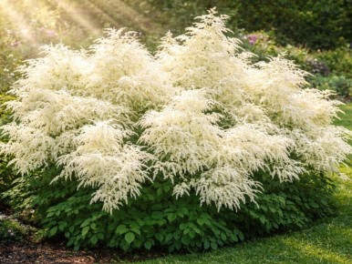 ������� ������: ��� �������� ���������� ��� ������� � ��������� ����