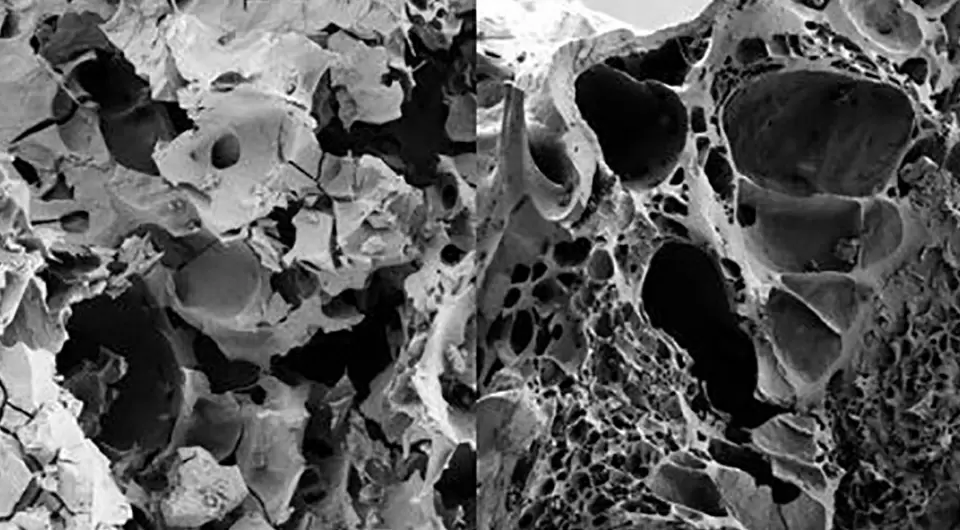 Хлеб почитаем с древности: анатолийцы пекли лепешки из полбы и чечевицы 5000 лет назад