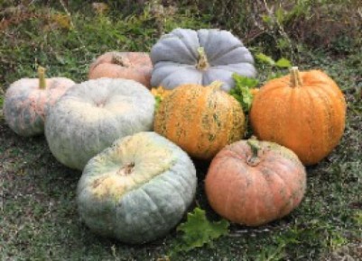 ��� ��������� ������� � ������� �����: ������� ��������� �����