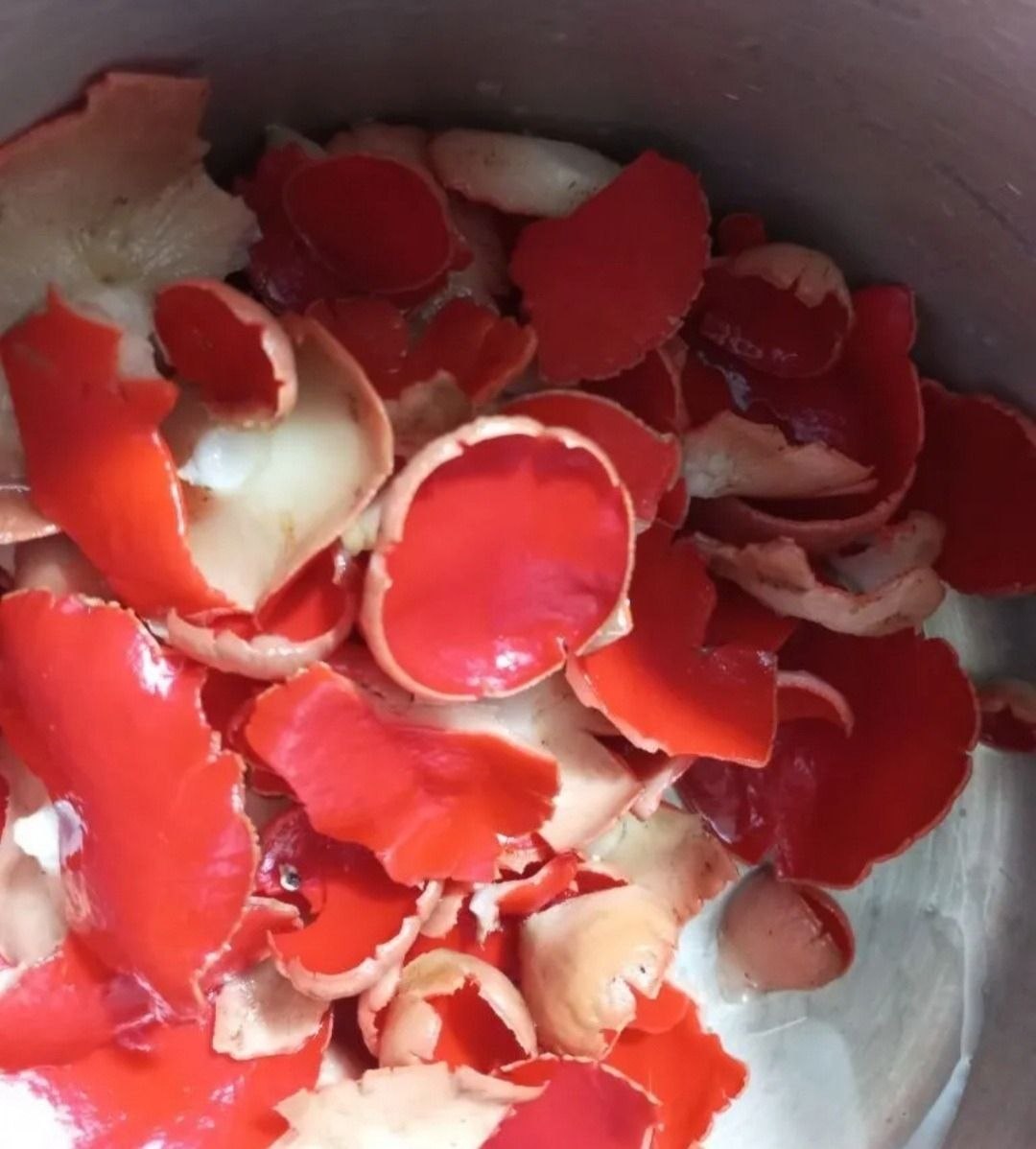 Грибники в Тамбовской области открыли весенний сезон «тихой охоты» Грибники в Тамбовской области открыли весенний сезон «тихой охоты»