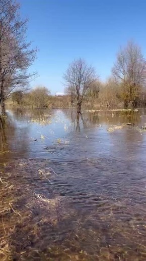 В Воронинском заповеднике вода всё продолжает прибывать