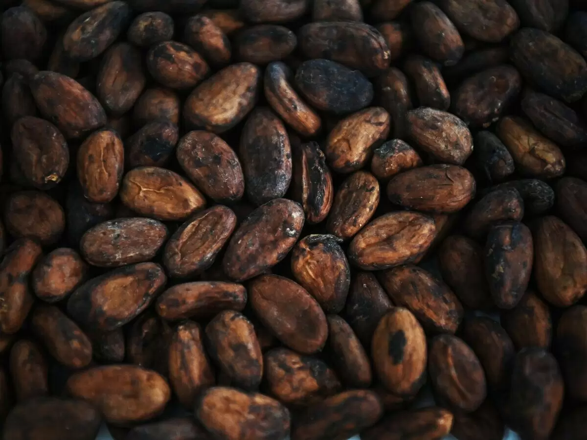 Мировые цены на какао-бобы: исторический спад под угрозой рынка