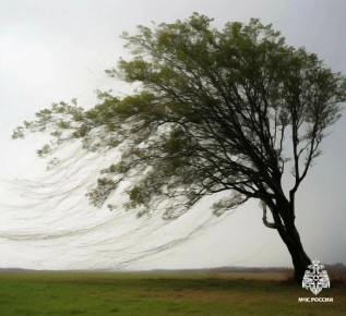 Усиление ветра, будь осторожен