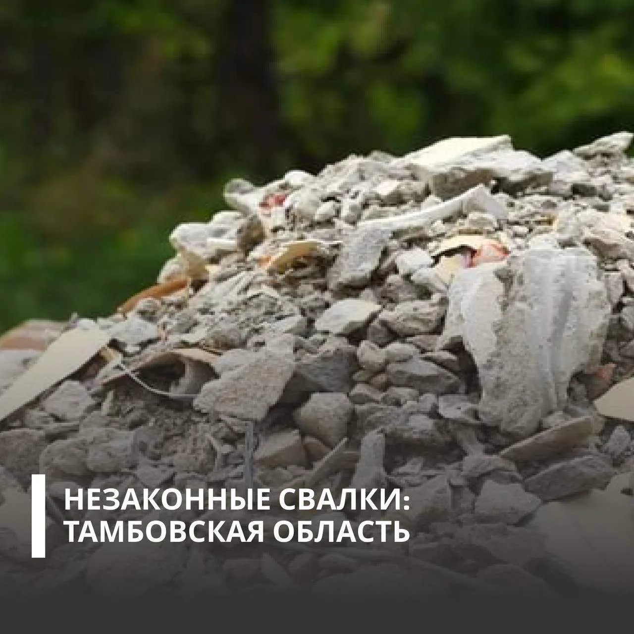 Суды поддержали требования Росприроднадзора о взыскании более 7 млн рублей ущерба, причиненного почвам