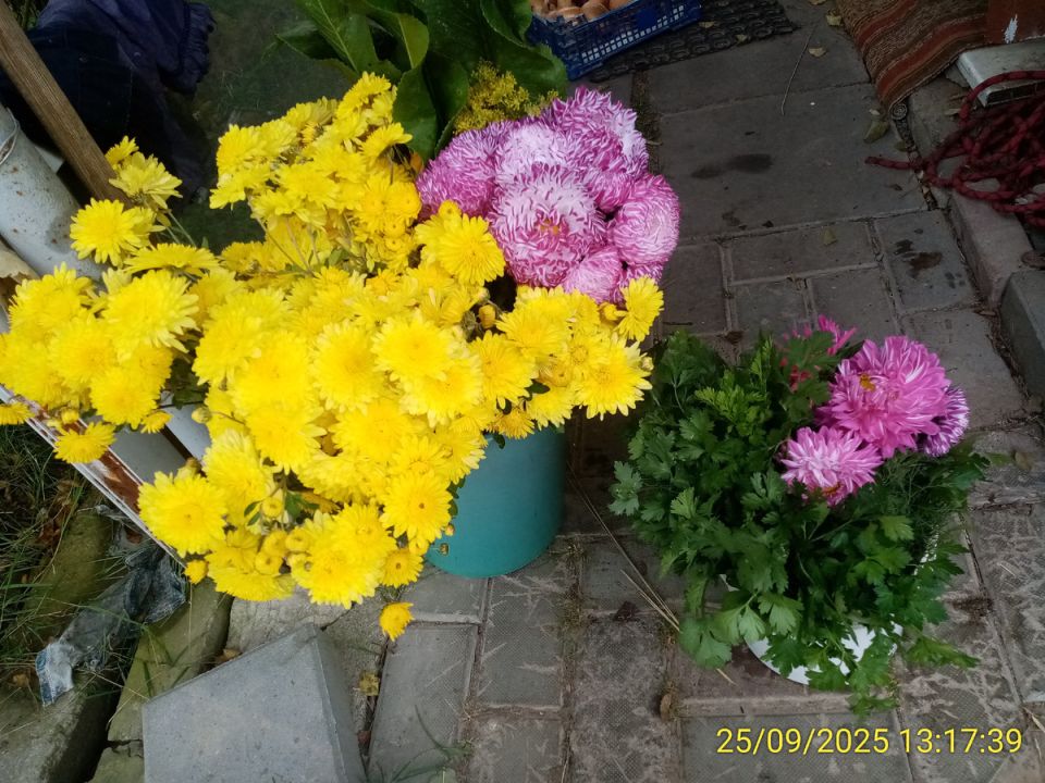 ��� ��������� ������� �����: ������ �� ������ � ����� �� �������