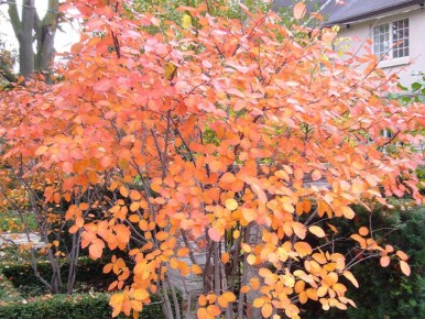 ���� ������: ��� ���������� �������� � ������ �� ��������� �����