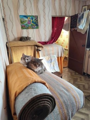 ���� �����: ����� ���� ���