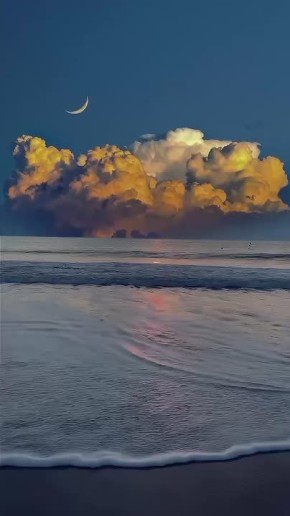 ������ �������� ���������