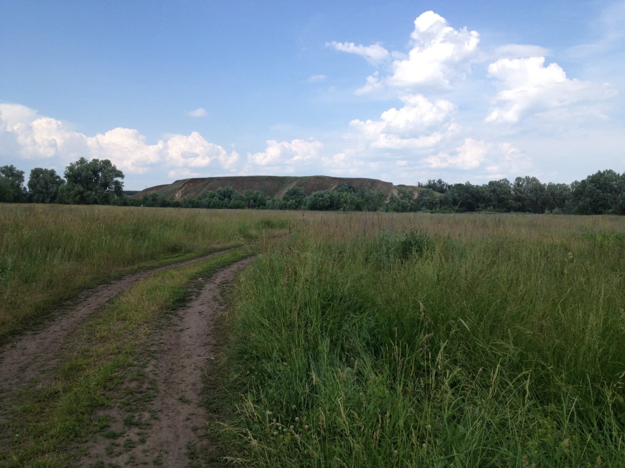 В моршанском Алгасово обнаружили мусорную свалку площадью более 700 квадратов