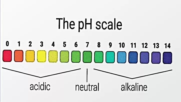 Способы восстановления щелочного запаса организма для поддержания здоровья