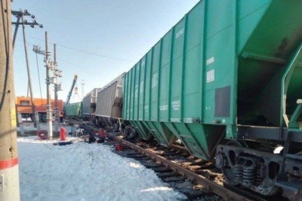 По факту схода грузовых вагонов в Тамбовской области возбудили уголовное дело