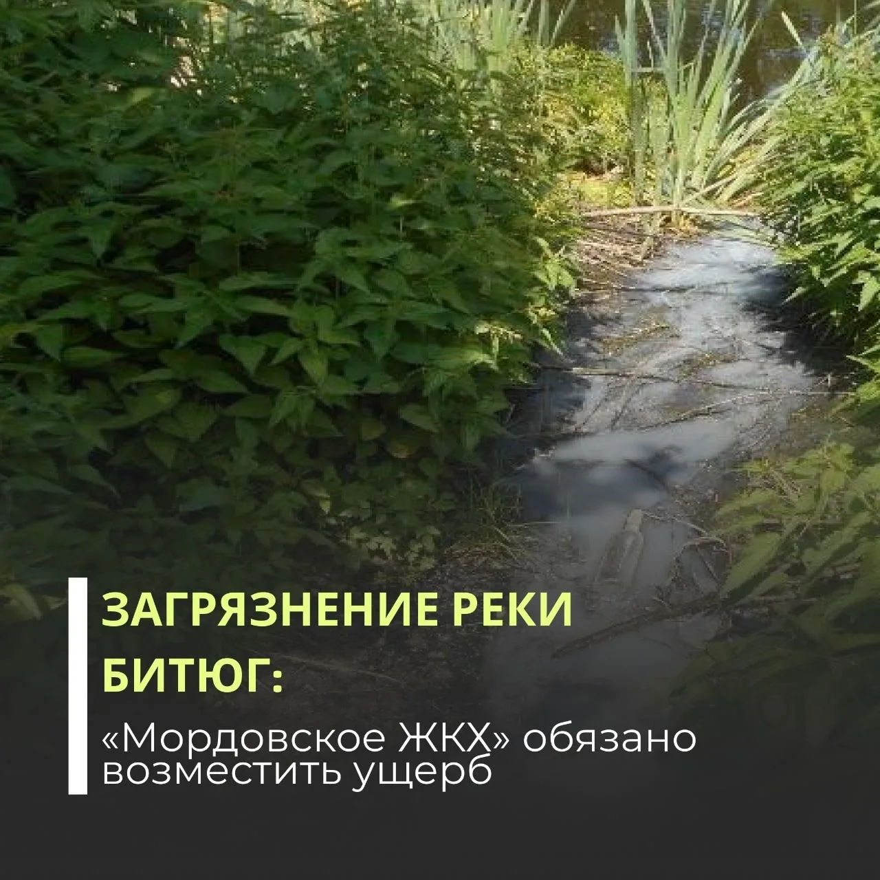 Суды трех инстанций поддержали требования Росприроднадзора за загрязнение реки Битюг