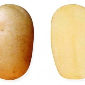 ������� �������: ������ ��������� � ��������� ����������������