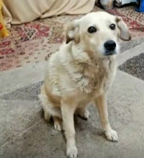 ���� �����: ������� ������